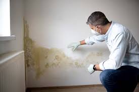 Best Forensic Mold Investigation in Irving, TX